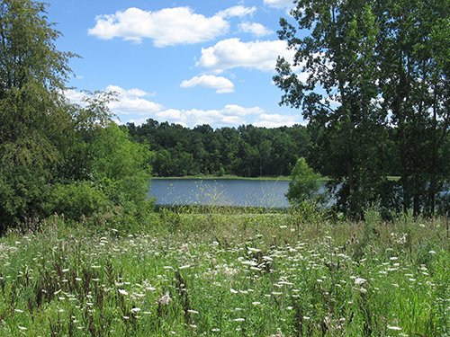 Property photo 74 - REAL ESTATE AUCTION, 163+/- Acres offered in 8 Tracts